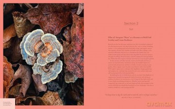 The Complete Guide to Home Permaculture: How to Transform Your Yard into a Thriving and Productive Ecosystem - Brandy Hall [KSIĄŻKA]