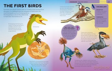 Everything You Need to Know: A fact-filled encyclopedia for curious minds - Philip Steele [KSIĄŻKA]
