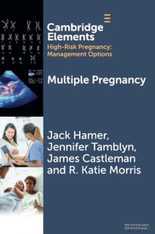 Multiple Pregnancy (Elements in High Risk Pregnancy: Management Options) - Jack Hamer [KSIĄŻKA]