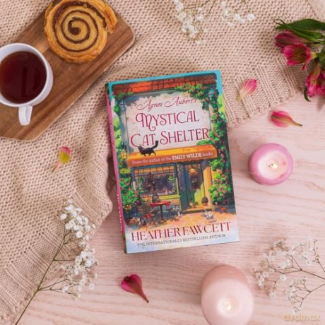 Agnes Aubert's Mystical Cat Shelter: FROM THE BESTSELLING AUTHOR OF THE EMILY WILDE BOOKS - Heather Fawcett [KSIĄŻKA]