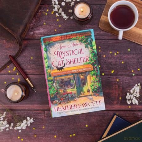 Agnes Aubert's Mystical Cat Shelter: FROM THE BESTSELLING AUTHOR OF THE EMILY WILDE BOOKS - Heather Fawcett [KSIĄŻKA]