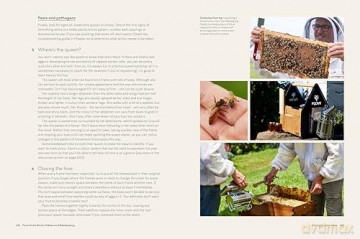 Flow Hive's Book of Bees and Beekeeping: Protect | Enjoy | Harvest - Stuart Anderson [KSIĄŻKA]