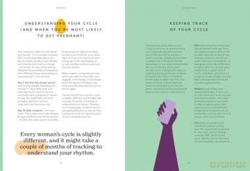 Birthing: The new self-help guide - Davina McCall [KSIĄŻKA]