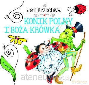 Biblioteczka niedźwiadka. Konik polny... [KSIĄŻKA]