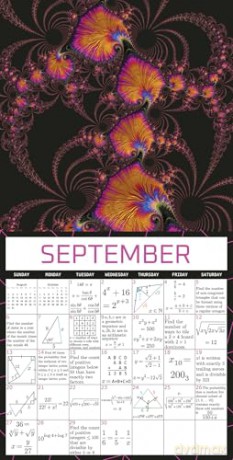 Your Daily Epsilon of Math Wall Calendar 2026 (Miscellaneous Books) - Rebecca Rapoport [KSIĄŻKA]