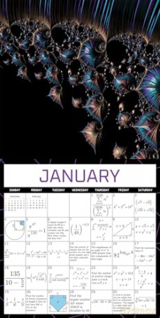 Your Daily Epsilon of Math Wall Calendar 2026 (Miscellaneous Books) - Rebecca Rapoport [KSIĄŻKA]