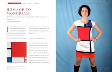 Yves Saint Laurent - The Fashion Icons - Alison James [KSIĄŻKA]