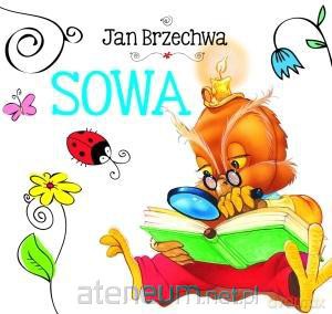 Biblioteczka niedźwiadka. Sowa [KSIĄŻKA]
