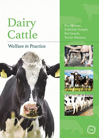 Dairy Cattle Welfare in Practice - Eva Mainau [KSIĄŻKA]