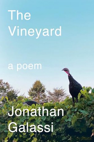 The Vineyard: A Poem - Jonathan Galassi [KSIĄŻKA]
