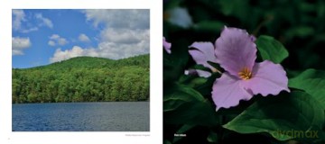 The Appalachian Trail: Four Seasons along the Trail: 1 (Scenic America in Photographs, 1) - Raymond Salani III [KSIĄŻKA]