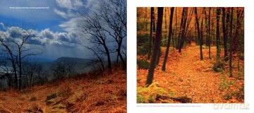 The Appalachian Trail: Four Seasons along the Trail: 1 (Scenic America in Photographs, 1) - Raymond Salani III [KSIĄŻKA]