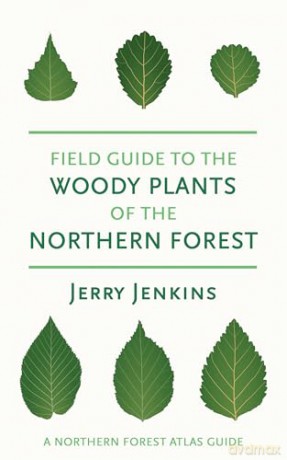 Field Guide to the Woody Plants of the Northern Forest (The Northern Forest Atlas Guides) - Jerry Jenkins [KSIĄŻKA]