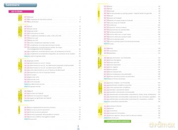 Bescherelle: Maitriser la grammaire francaise - Benedicte Delignon [KSIĄŻKA]
