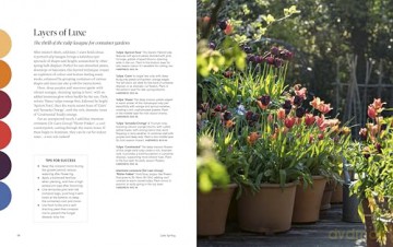 A Year of Colour: How to create a bold and bright garden - Ann-Marie Powell [KSIĄŻKA]