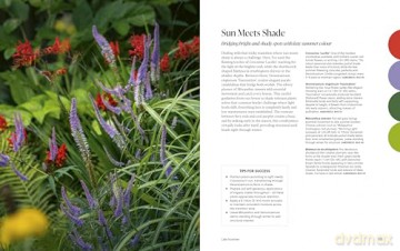 A Year of Colour: How to create a bold and bright garden - Ann-Marie Powell [KSIĄŻKA]