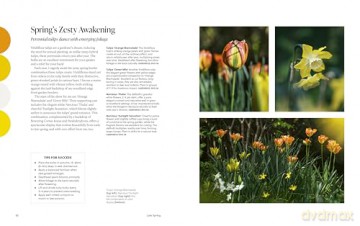 A Year of Colour: How to create a bold and bright garden - Ann-Marie Powell [KSIĄŻKA]