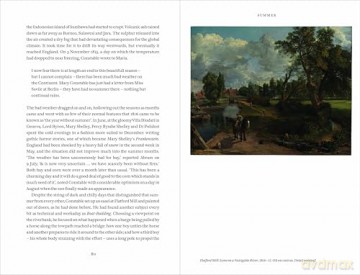 Constable's Year: An Artist in Changing Seasons - Susan Owens [KSIĄŻKA]