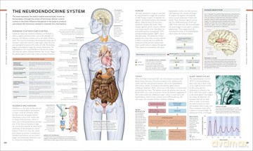 The Brain Book: A Visual Guide to Structure and Function (DK Human Body Guides) - Rita Carter [KSIĄŻKA]