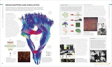 The Brain Book: A Visual Guide to Structure and Function (DK Human Body Guides) - Rita Carter [KSIĄŻKA]