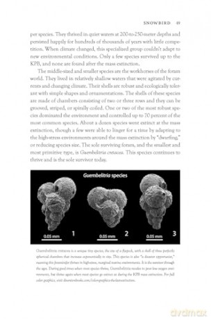 The Last Extinction: The Real Science Behind the Death of the Dinosaurs - Dr. Gerta Keller [KSIĄŻKA]