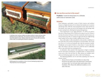 Beekeeping Success: Start Right, Grow Strong Colonies, Harvest More Honey - Dr Robert Owen [KSIĄŻKA]