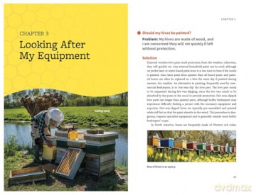 Beekeeping Success: Start Right, Grow Strong Colonies, Harvest More Honey - Dr Robert Owen [KSIĄŻKA]