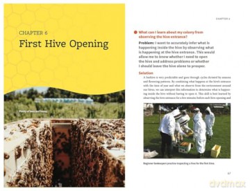 Beekeeping Success: Start Right, Grow Strong Colonies, Harvest More Honey - Dr Robert Owen [KSIĄŻKA]