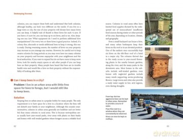 Beekeeping Success: Start Right, Grow Strong Colonies, Harvest More Honey - Dr Robert Owen [KSIĄŻKA]