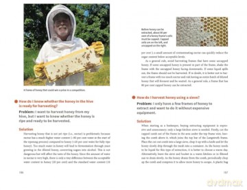 Beekeeping Success: Start Right, Grow Strong Colonies, Harvest More Honey - Dr Robert Owen [KSIĄŻKA]