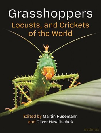 Grasshoppers, Locusts, and Crickets of the World - Oliver Hawlitschek [KSIĄŻKA]