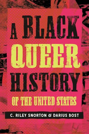 A Black Queer History of the United States (Revisioning History) - C. Riley Snorton [KSIĄŻKA]