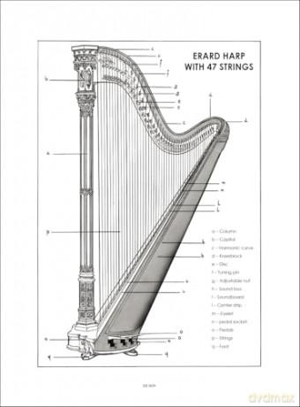 Method for Harp Maria Grossi | Harfen Schule für Anfänger Schüler mit Progressiven Übungen | Technik Handhaltung Fingerübungen | Zweisprachig Deutsch/Englisch Ettore Pozzoli Harfennoten Musikschule [KSIĄŻKA]