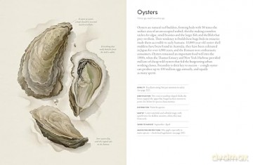 The Coastal Forager: Wild maritime food to preserve, cook, eat - Mark Williams [KSIĄŻKA]