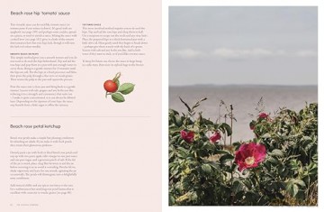 The Coastal Forager: Wild maritime food to preserve, cook, eat - Mark Williams [KSIĄŻKA]