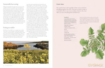 The Coastal Forager: Wild maritime food to preserve, cook, eat - Mark Williams [KSIĄŻKA]