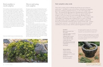 The Coastal Forager: Wild maritime food to preserve, cook, eat - Mark Williams [KSIĄŻKA]