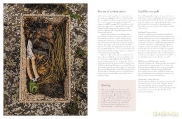 The Coastal Forager: Wild maritime food to preserve, cook, eat - Mark Williams [KSIĄŻKA]