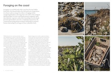 The Coastal Forager: Wild maritime food to preserve, cook, eat - Mark Williams [KSIĄŻKA]