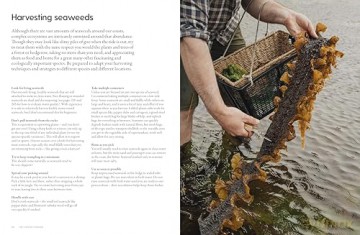 The Coastal Forager: Wild maritime food to preserve, cook, eat - Mark Williams [KSIĄŻKA]