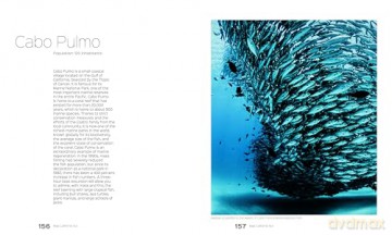 Baja California Peninsula: The Most Fascinating Peninsula in the Americas - Stefano Frontani [KSIĄŻKA]