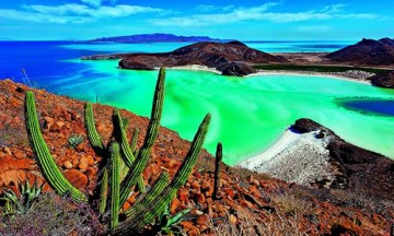 Baja California Peninsula: The Most Fascinating Peninsula in the Americas - Stefano Frontani [KSIĄŻKA]