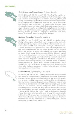 Pocket Guide to the Mammals of Costa Rica (Zona Tropical Publications) - Gianfranco Gómez Zamora [KSIĄŻKA]