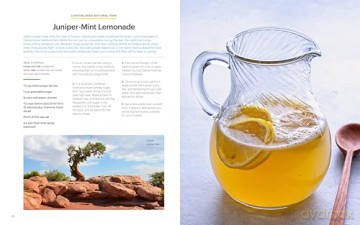National Geographic National Parks Cookbook: Dishes Inspired by America's Great Outdoors - Nina Elder [KSIĄŻKA]
