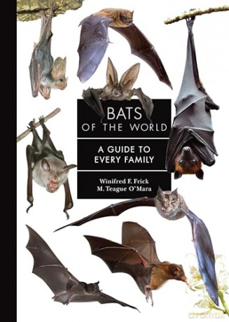 Bats of the World: A Guide to Every Family - Winifred Frick [KSIĄŻKA]