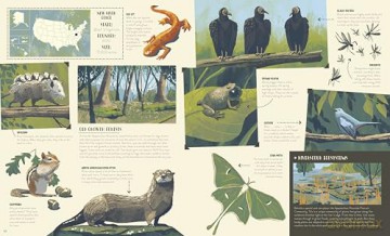 National Parks of the USA (Americana) - Kate Siber [KSIĄŻKA]