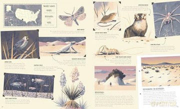 National Parks of the USA (Americana) - Kate Siber [KSIĄŻKA]