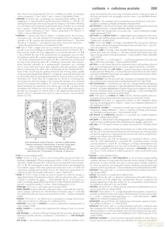 Merriam-Webster's Collegiate Dictionary: Twelfth Edition - Merriam-Webster (edited by) [KSIĄŻKA]
