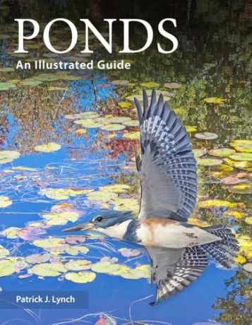 Ponds: An Illustrated Guide - Patrick J. Lynch [KSIĄŻKA]