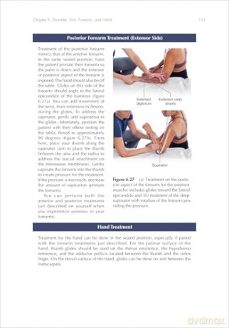 The Anatomy and Physiology of Sports Massage - Portia Resnick [KSIĄŻKA]